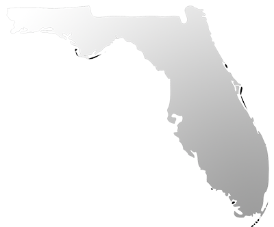 State of Florida Home Inspector